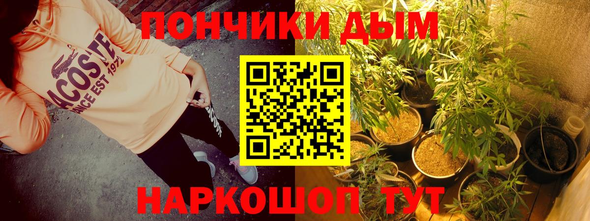 Бошки Шишки THC 21%  Марихуана план  Вход с VPN  Салехард  Канабис Bruce Banner 